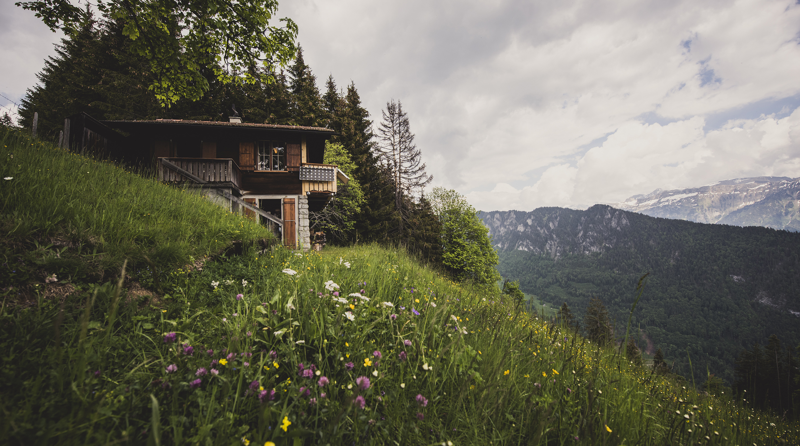 header-SMF_9359.jpg
