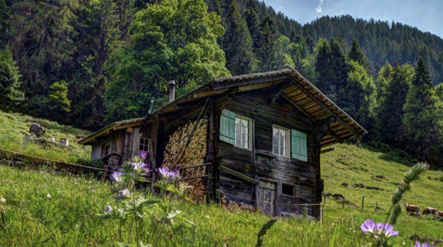 header-1706_Kirschbaum3.jpg