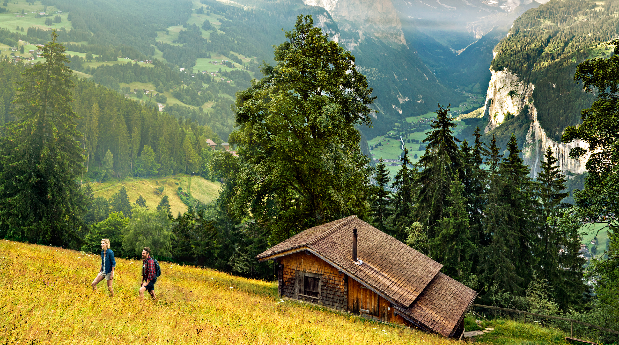 header-weidhaus.jpg